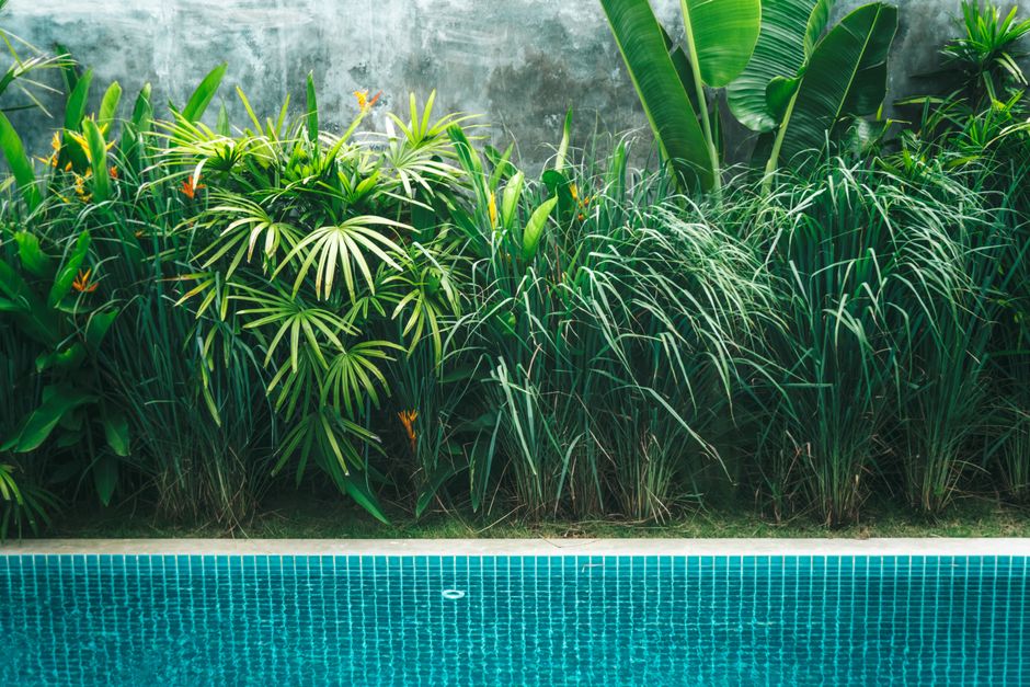 Is an Inground Backyard Pool Worth the Money?