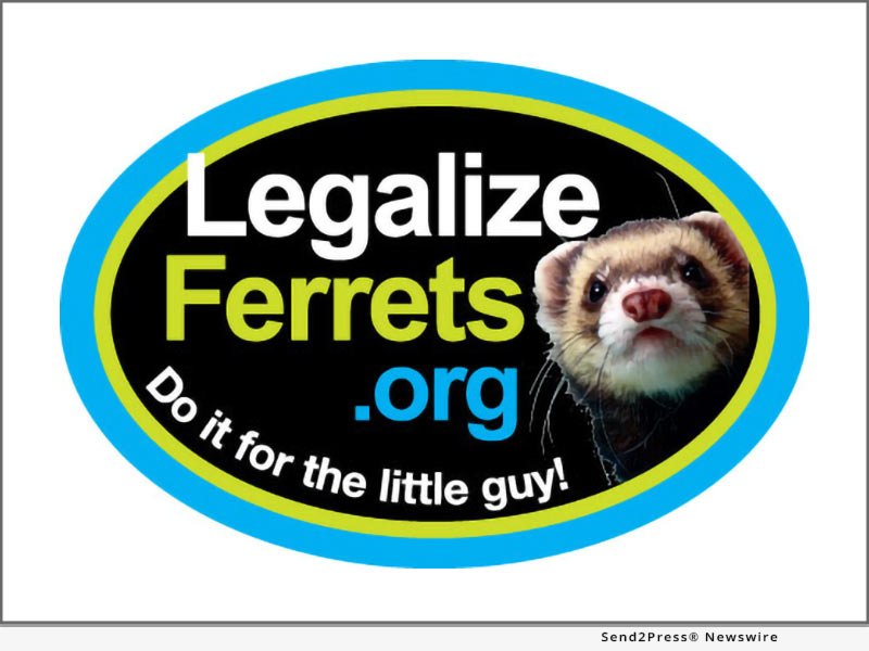 Ferret Legality in California: Complete Guide to Ownership Regulations