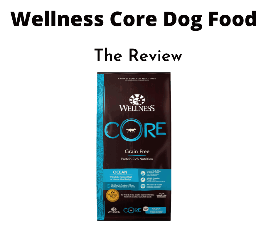 Pet Wellness Products: Where to Find Quality Food and Grooming Supplies