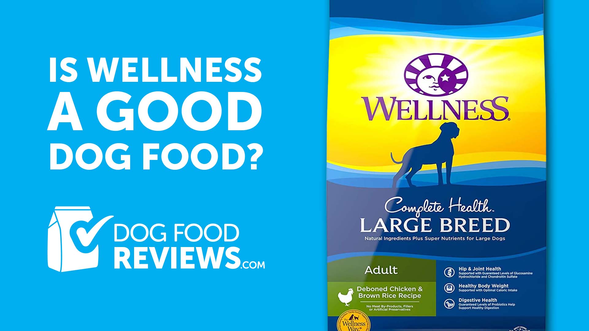 Wellness Dog Food: A Complete Analysis of Quality and Benefits