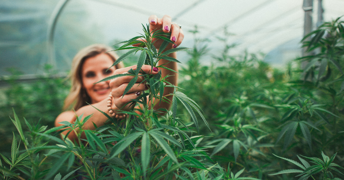 CBD Legal Status in Wisconsin: Complete Guide to Hemp Laws and Regulations