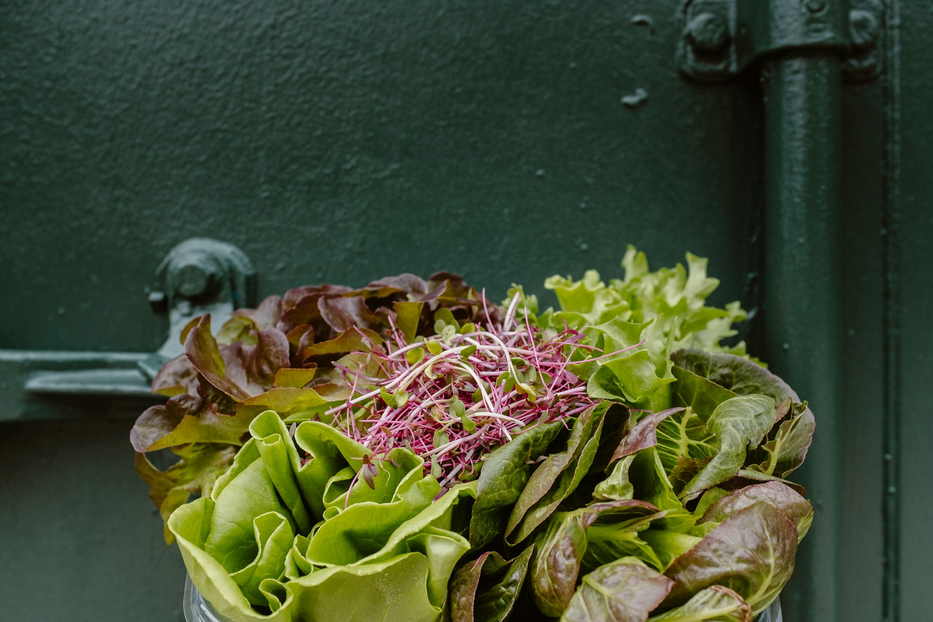 Fresh Ideas for Urban Rooftop Garden Salad Recipes: Grow, Harvest, and Savor